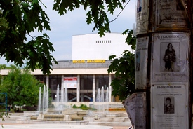 arbol_plaza.jpg