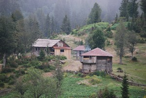 casasgeorgiamonte.jpg