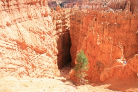 Bryce Canyon N.P - http://ruta66.blogsome.com