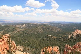 Bryce Canyon N.P - http://ruta66.blogsome.com