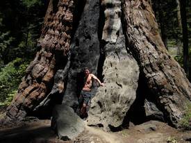 Sequoia & Kings Canyon National Park - http://ruta66.blogsome.com