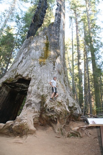 Yosemite - http://ruta66.blogsome.com