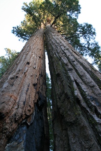 Yosemite - http://ruta66.blogsome.com
