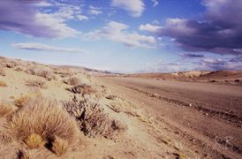 Mongolia Rally Mongol Estepa Desierto Los Borricos