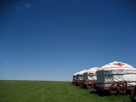Mongolia Rally Mongol Estepa Desierto Los Borricos