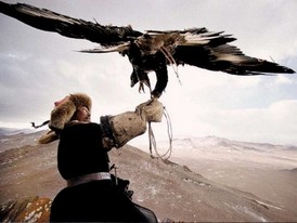 Mongolia Rally Mongol Estepa Desierto Los Borricos