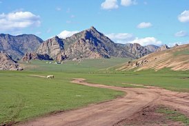 Mongolia Rally Mongol Estepa Desierto Los Borricos