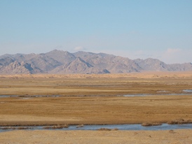 Mongolia Rally Mongol Estepa Desierto Los Borricos