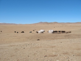 Mongolia Rally Mongol Estepa Desierto Los Borricos