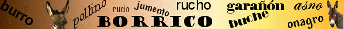 Reivindica el Burro