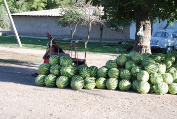 Montanas Kirguizistan Los Borricos.com