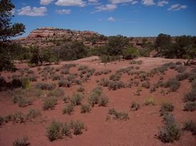Canyonlands, Utah