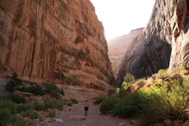 Capitol Reef - http://www.losborricos.com