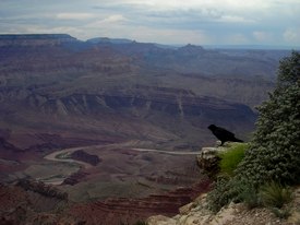 Grand Canyon - ruta66.blogsome.com