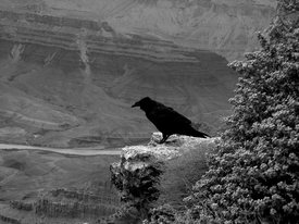 Grand Canyon - ruta66.blogsome.com