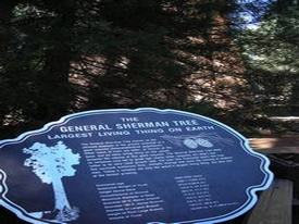 Sequoia & Kings Canyon National Park - http://www.losborricos.com