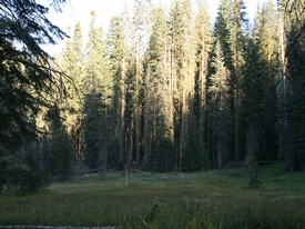 Yosemite - http://www.losborricos.com