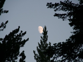 Yosemite - http://www.losborricos.com