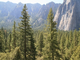 Yosemite - http://www.losborricos.com
