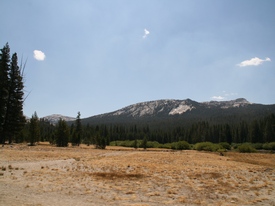 Yosemite - http://www.losborricos.com