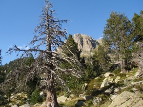 Rutas Veredes - Fotos de Aig&uuml;estortes - Carros de Foc
