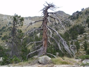 Rutas Veredes - Fotos de Aig&uuml;estortes - Carros de Foc