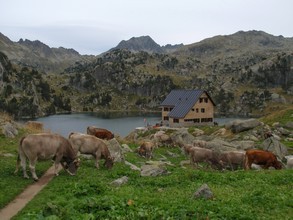 Rutas Veredes - Fotos de Aig&uuml;estortes - Carros de Foc