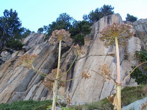 Rutas Veredes - Fotos de Aig&uuml;estortes - Carros de Foc